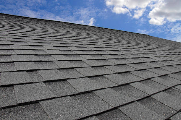 Best Metal Roofing Installation  in Sebewaing, MI